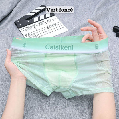 🎁Kupte 1 a získejte 2 zdarma🎁 Pánské chladivé, prodyšné boxerky s elastickým pasem