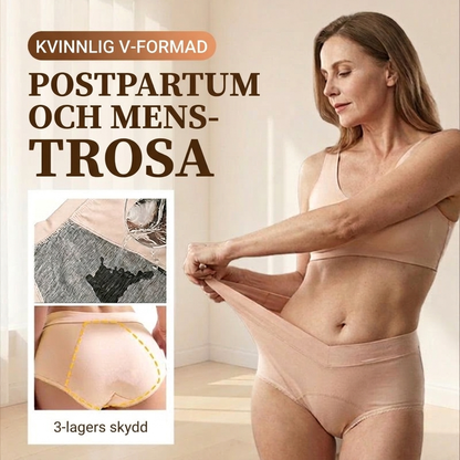 【✨ 1 + 3 gratis - 4 stycken】Stor, V-utskuren, högmidjad hygienisk kalsong | Läckageskydd både fram och bak